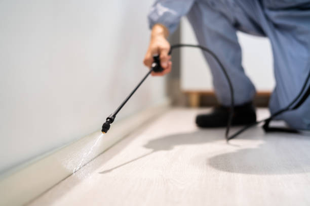 Bed Bug Pre-Treatment Preparation Assessment in Fort Campbell North