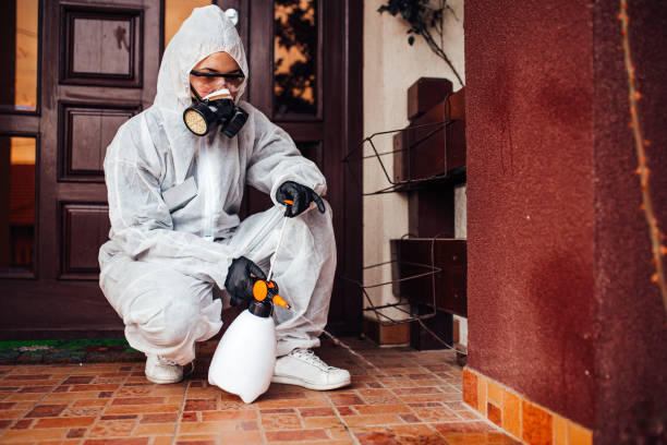 Multi-Unit and Airbnb Bed Bug Protocol in Fort Campbell North