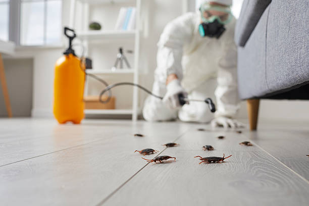 Post-Treatment Bed Bug Interceptor Monitoring in Fort Campbell North