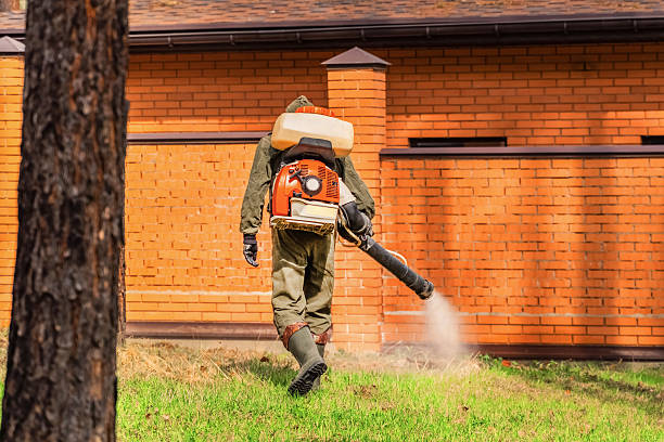 Bed Bug Clearance Verification and Documentation in Fort Campbell North